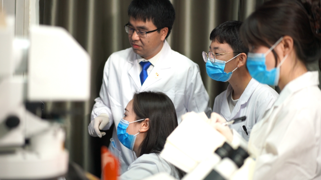 17585306396566.png 17585306396566.png